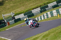 cadwell-no-limits-trackday;cadwell-park;cadwell-park-photographs;cadwell-trackday-photographs;enduro-digital-images;event-digital-images;eventdigitalimages;no-limits-trackdays;peter-wileman-photography;racing-digital-images;trackday-digital-images;trackday-photos